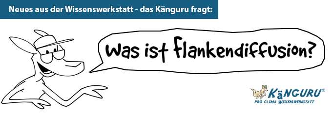 Kaenguru_flankendiffusion